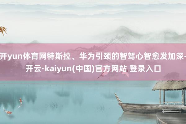 开yun体育网特斯拉、华为引颈的智驾心智愈发加深-开云·kaiyun(中国)官方网站 登录入口