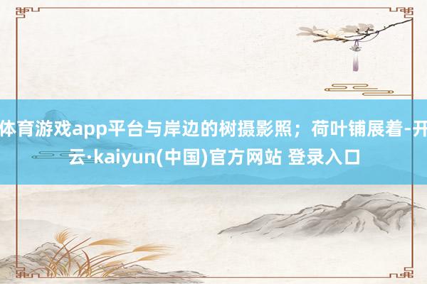 体育游戏app平台与岸边的树摄影照；荷叶铺展着-开云·kaiyun(中国)官方网站 登录入口
