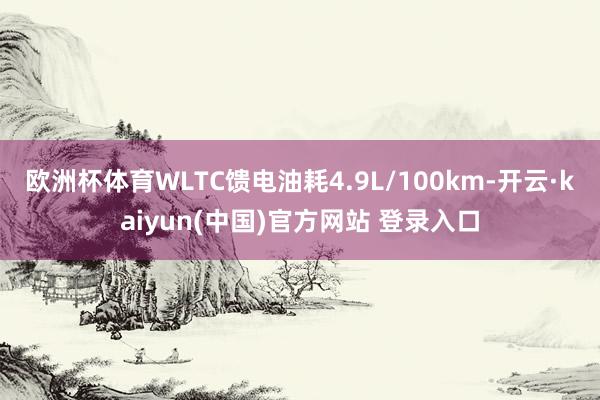 欧洲杯体育WLTC馈电油耗4.9L/100km-开云·kaiyun(中国)官方网站 登录入口