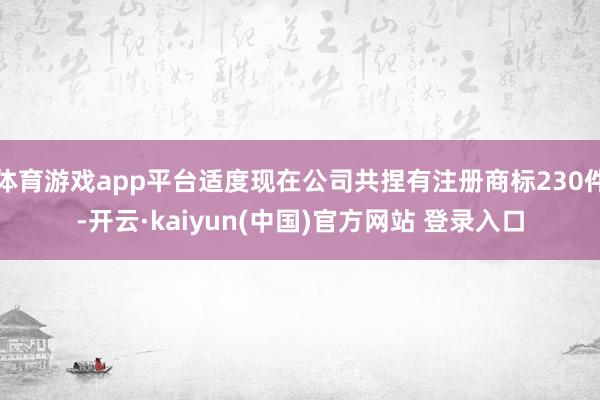 体育游戏app平台适度现在公司共捏有注册商标230件-开云·kaiyun(中国)官方网站 登录入口