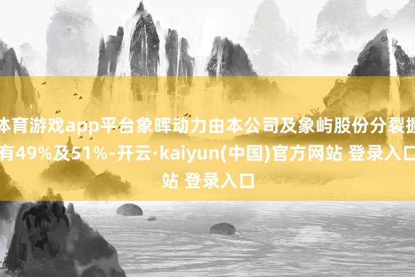体育游戏app平台象晖动力由本公司及象屿股份分裂握有49%及51%-开云·kaiyun(中国)官方网站 登录入口
