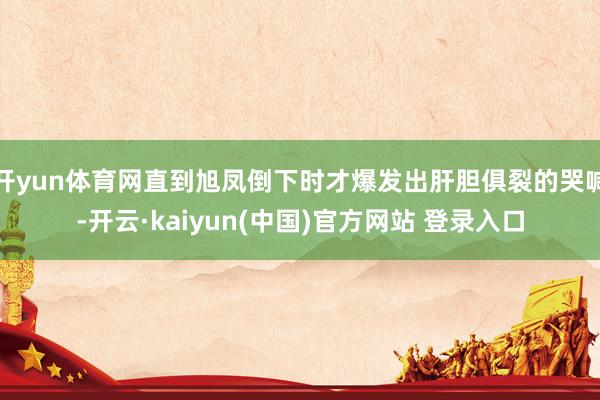 开yun体育网直到旭凤倒下时才爆发出肝胆俱裂的哭喊-开云·kaiyun(中国)官方网站 登录入口