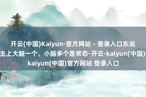 开云(中国)Kaiyun·官方网站 - 登录入口东说念主形机器东说念主上大脑一个、小脑多个是常态-开云·kaiyun(中国)官方网站 登录入口
