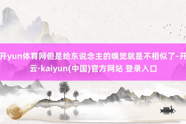 开yun体育网但是给东说念主的嗅觉就是不相似了-开云·kaiyun(中国)官方网站 登录入口