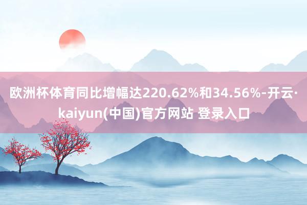 欧洲杯体育同比增幅达220.62%和34.56%-开云·kaiyun(中国)官方网站 登录入口