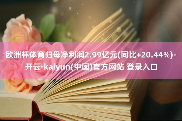 欧洲杯体育归母净利润2.99亿元(同比+20.44%)-开云·kaiyun(中国)官方网站 登录入口
